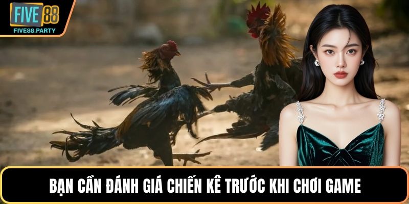 Đá gà Cựa dao – Bí Quyết Đấu Chiến Kê Hiệu Quả Tại Five88