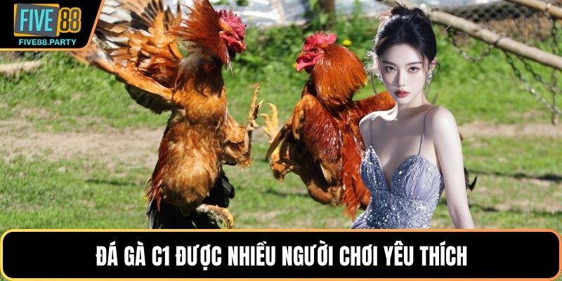 Đá gà C1 – Sân Chơi Đỉnh Cao Dành Cho Dân Cá Cược Five88