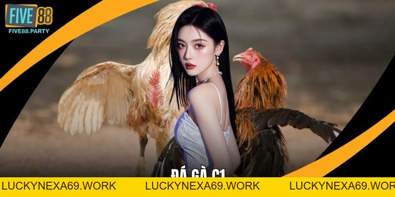 Đá gà C1 – Sân Chơi Đỉnh Cao Dành Cho Dân Cá Cược Five88