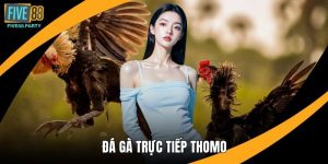 Five88 VN Nhà Cái Five88 Game, Casino, Thể Thao 2026