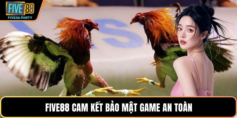 Đá gà Trực tiếp Thomo – Sân Chơi Giải Trí Kịch Tính Five88 Đá gà Trực tiếp Thomo – Sân Chơi Giải Trí Kịch Tính Five88