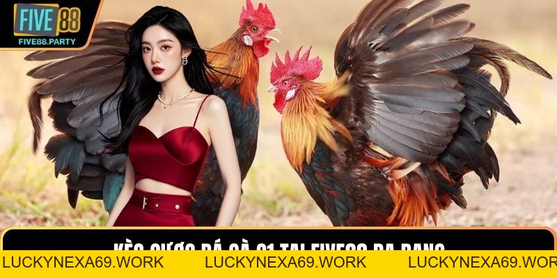 Đá gà C1 – Sân Chơi Đỉnh Cao Dành Cho Dân Cá Cược Five88