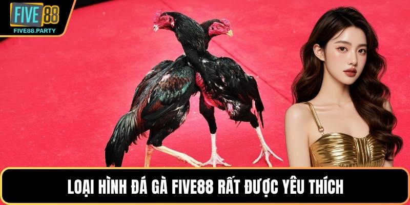 Đá Gà Five88 - Trải Nghiệm Đấu Trường Chiến Kê Hấp Dẫn