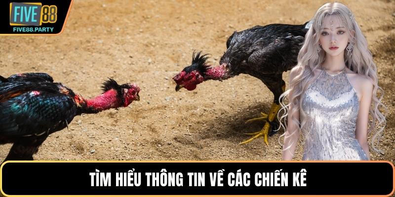 Đá Gà Five88 - Trải Nghiệm Đấu Trường Chiến Kê Hấp Dẫn