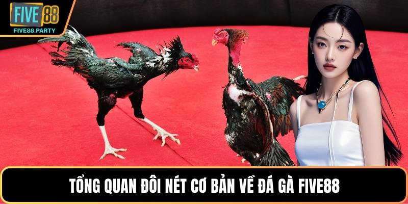 Đá Gà Five88 - Trải Nghiệm Đấu Trường Chiến Kê Hấp Dẫn