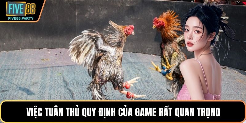 Đá gà Cựa dao – Bí Quyết Đấu Chiến Kê Hiệu Quả Tại Five88